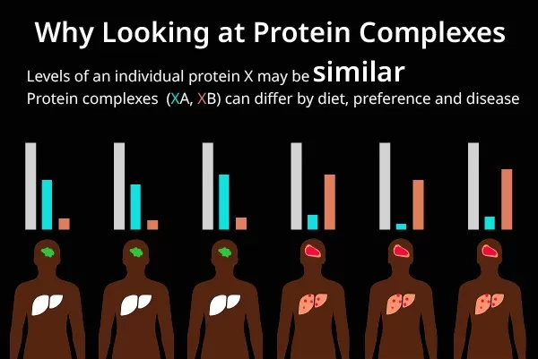 Same Protein, Different Complexes – Why Functional Context Matters